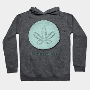 Mint Green Sand Dollar Seashell Design Hoodie